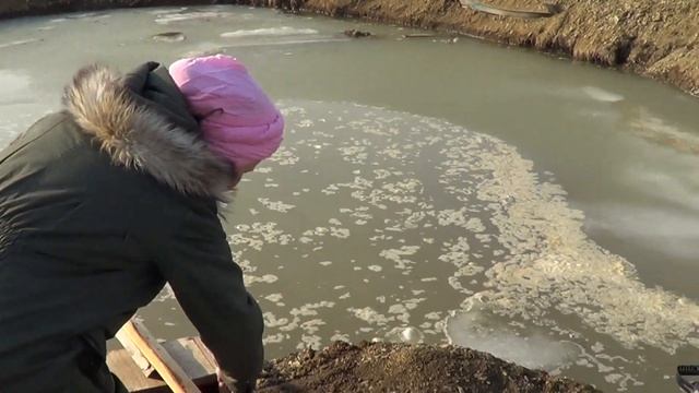 НАС ЗАТОПИЛО?//ПРУД СВОИМИ РУКАМИ//ЖИЗНЬ ФОРЕЛИ ПОСЛЕ ЗИМЫ