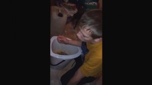 Хочешь блевать?