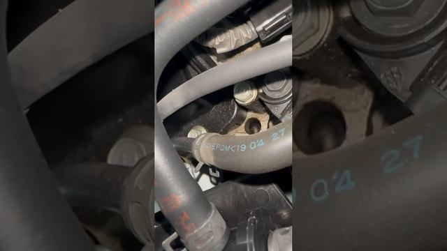 VID_20230529_181241_523.mp4.mov смотреть онлайн