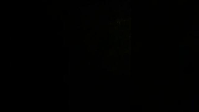 Как успокоить лающих собак ночью смотреть онлайн