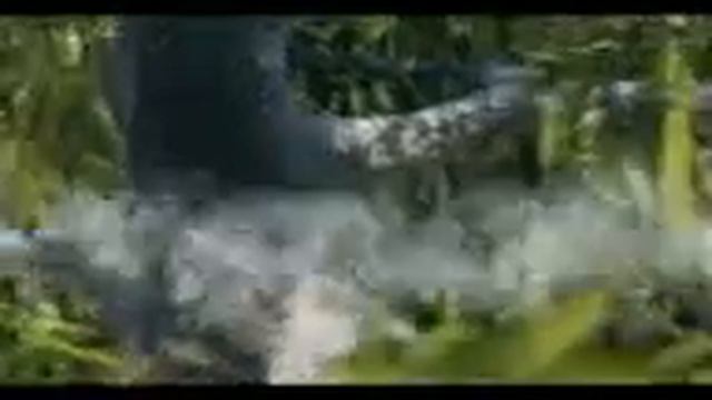 Негры рулят мультик смотреть онлайн