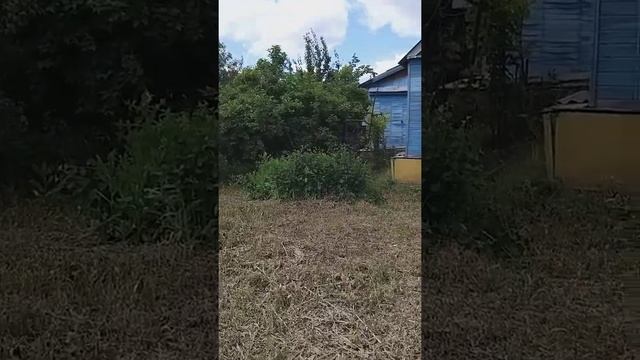 Дом в Кинеле, видео 1 смотреть онлайн