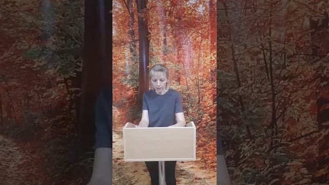 Самоанализ воспитателя Закусило Е А смотреть онлайн
