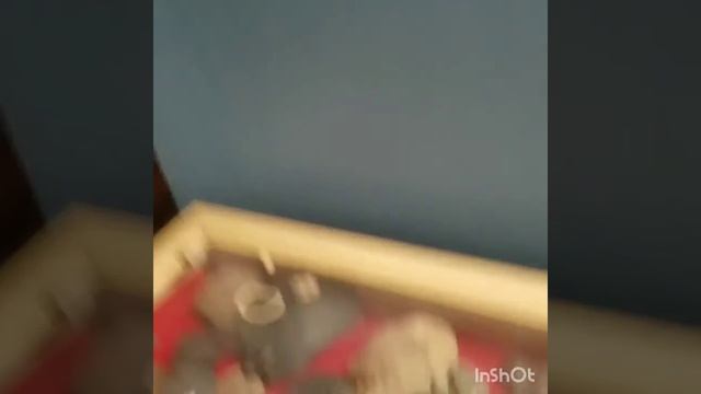 Trying out the Garrett AT MAX and Channel Update! смотреть онлайн