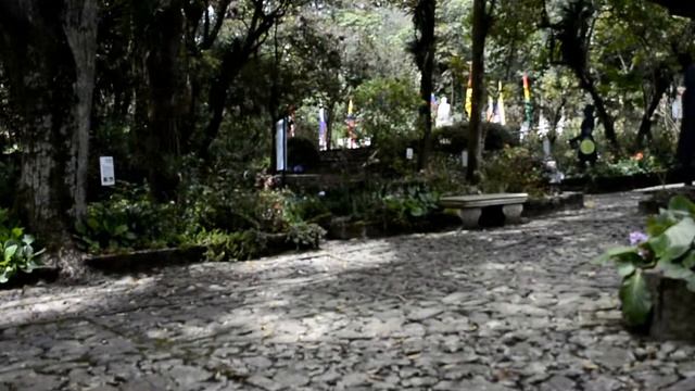 Nikon d 5200 Video Test смотреть онлайн