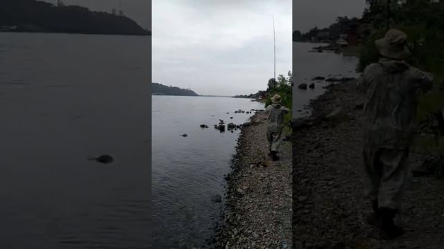 Кхе ... кхе ... кхе. Рыба! Рыбалка на Хариуса смотреть онлайн