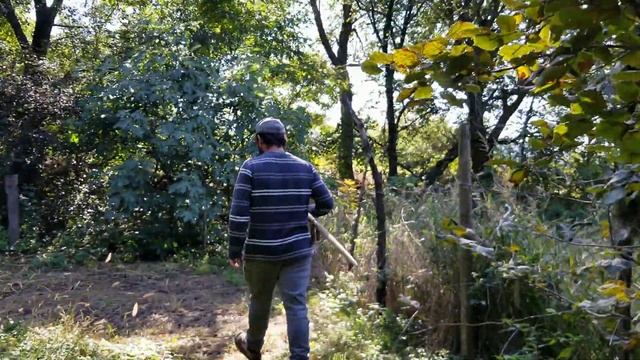 Осеннее утро одного Грузина и Грузинки))) смотреть онлайн