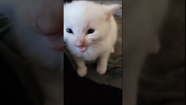 Hi Herbert! YOU PICKED THE WRONG HOUSE FOOL!!! смотреть онлайн