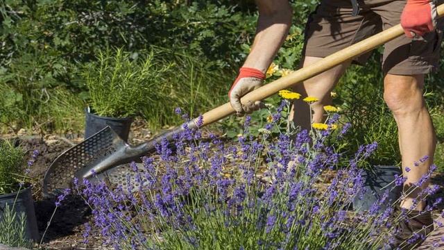 Лучшие продукты для ухода за кожей