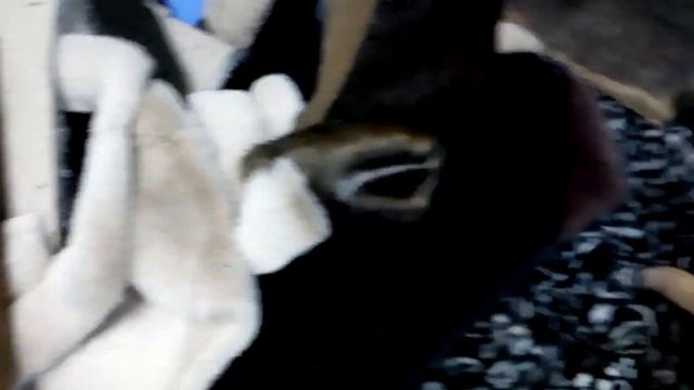 Искусственный мех смотреть онлайн