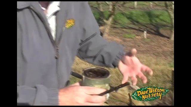 How To Graft A Fruit Tree