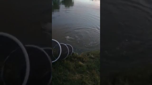 Рыбалка в хадыженске смотреть онлайн