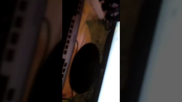 Скачать бесплатно игры для телефона майнкрафт смотреть онлайн