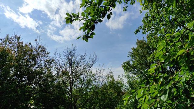 Моя природа #mynature #relax смотреть онлайн