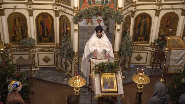 Воскресенье перед Богоявлением. Евангельское чтение дня о объявление о крещенских службах смотреть онлайн