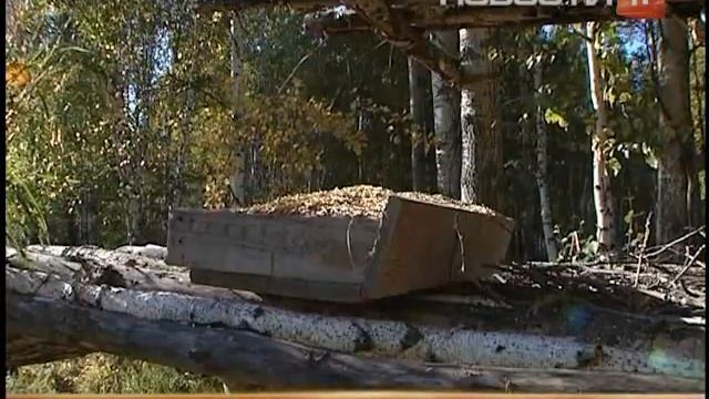 Егеря насолили диким зверям смотреть онлайн
