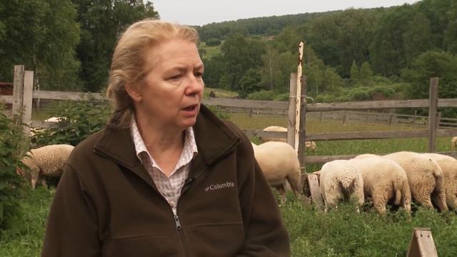 Как стать фермером? С чего начать? смотреть онлайн