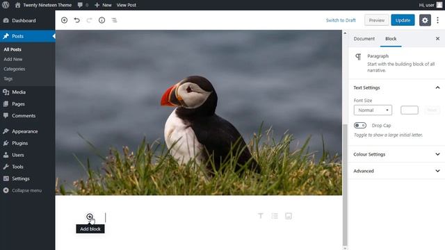 Gutenberg block editor | The basics смотреть онлайн