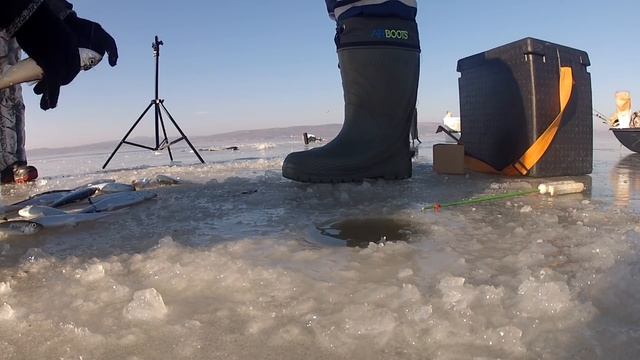 Рыбалка на самодур. Моим снастям завидуют все рыбаки!