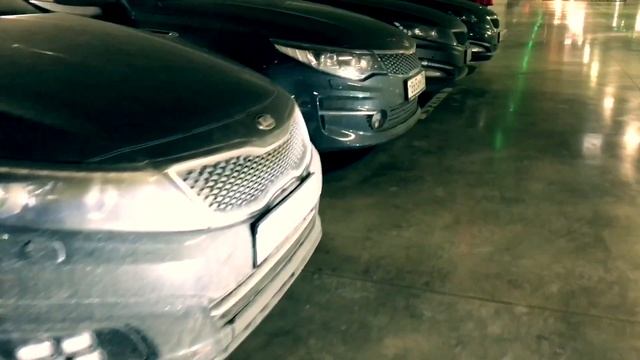 Kia Optima Club Встреча Клуба 11.11.2017 смотреть онлайн