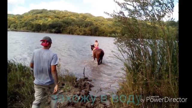 Я купаюсь на коне. Фото смотреть онлайн