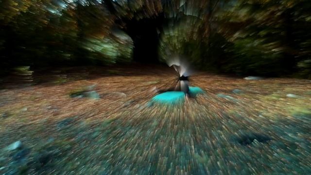 Релакс Музыка / Музыка для медитации / Relax / Природа / Отдых в лесу смотреть онлайн