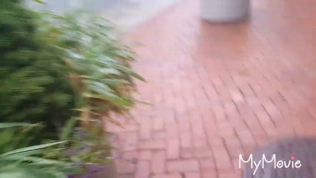 Early autumn sketch in Toronto downtown- Осенняя зарисовка смотреть онлайн