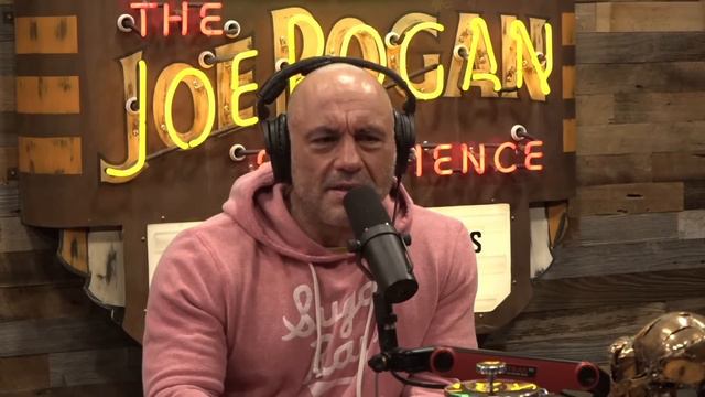 Joe Rogan Jorge Masvidal on MONEY Mayweather смотреть онлайн