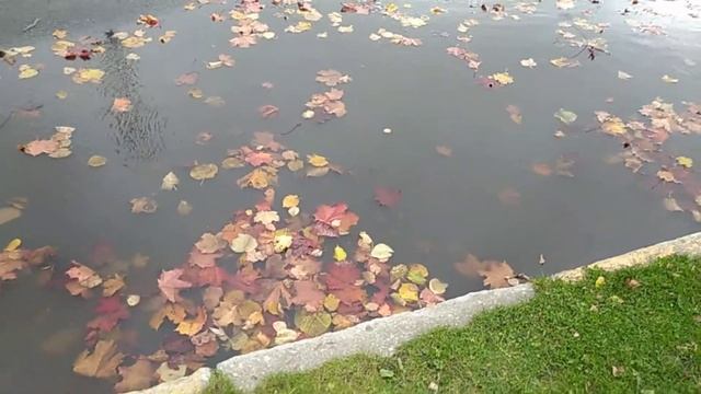 Осенний ветер смотреть онлайн