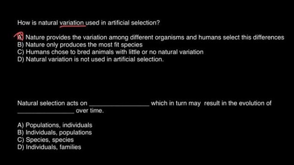 Artificial Selection and Evolution