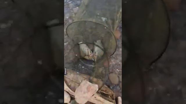 Фарель . Кумертау.🤜🤛😎 смотреть онлайн