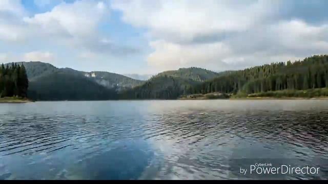 Верный спутник / КонВерсиЯ смотреть онлайн