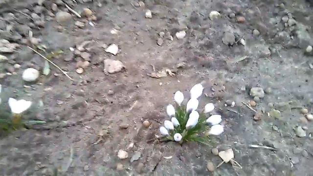 Покупка продуктов..Готовлю..Довязала подарки к 8 Марта..Подготовка к стройке. смотреть онлайн