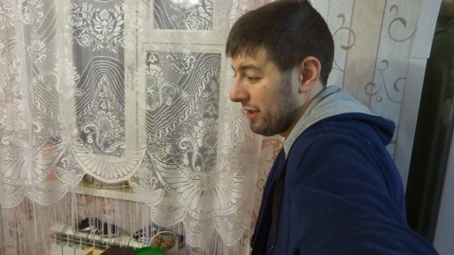 Про канал "Деревенский Блокнот" и жизнь в деревенских условиях смотреть онлайн