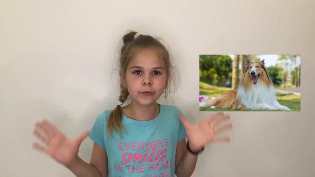 ФАКТЫ ПРО КОЛЛИ // смотреть онлайн