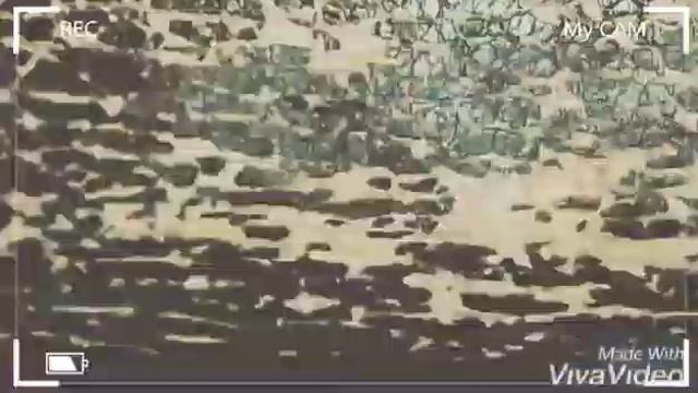 LPS клип Бойчик.Прастите што долга небило видио , у меня небило идей , пишите идей для видио в каме смотреть онлайн