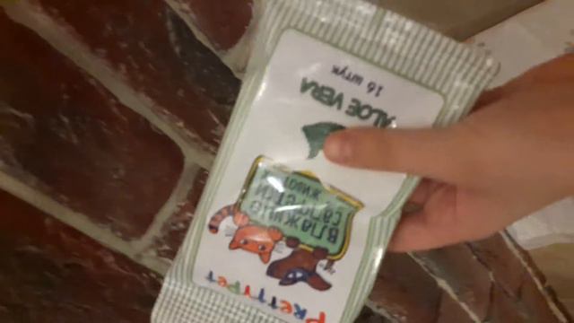 Долгожданный мой щенок породы Шпиц зовут Бони мальчик смотреть онлайн