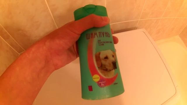 Как часто нужно мыть собаку шампунем смотреть онлайн