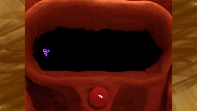 The Neverhood (Full Game, No Commentary)