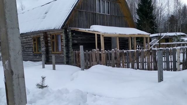 ДРОВА ЗА 1000Р. ПОКАЗЫВАЮ КАКИЕ. смотреть онлайн