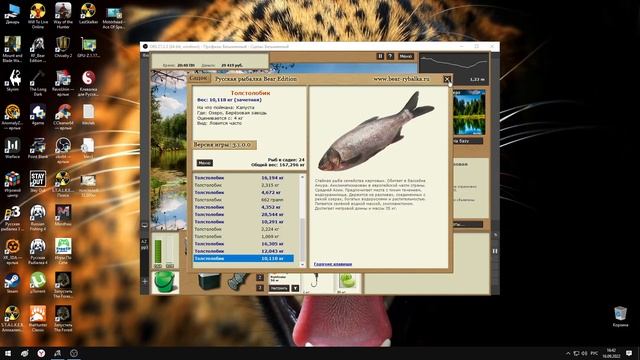 русская рыбалка 3 bear edition ловим толстолоба #2 смотреть онлайн