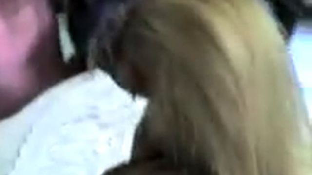 Andijon Voqiyasi Ilon Aylangan Ayol..3gp