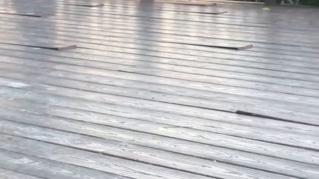 Последствия от некачествен евтин декинг смотреть онлайн