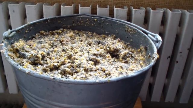 Как запарить дробленку для коровы. Пару слов о запуске коровы (сухостойном периоде). смотреть онлайн