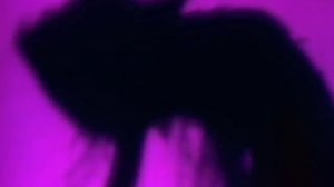 Billy Idol - Flesh For Fantasy