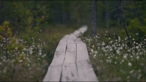 ЮГУ месторождение знаний - 2021.mp4