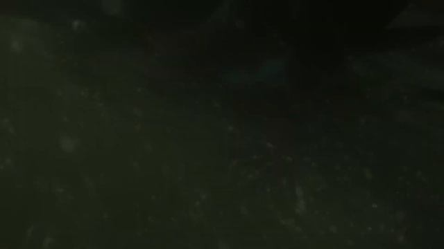 Прохождение Metro Exodus | Метро: Исход - Часть 8. Дрезина. смотреть онлайн