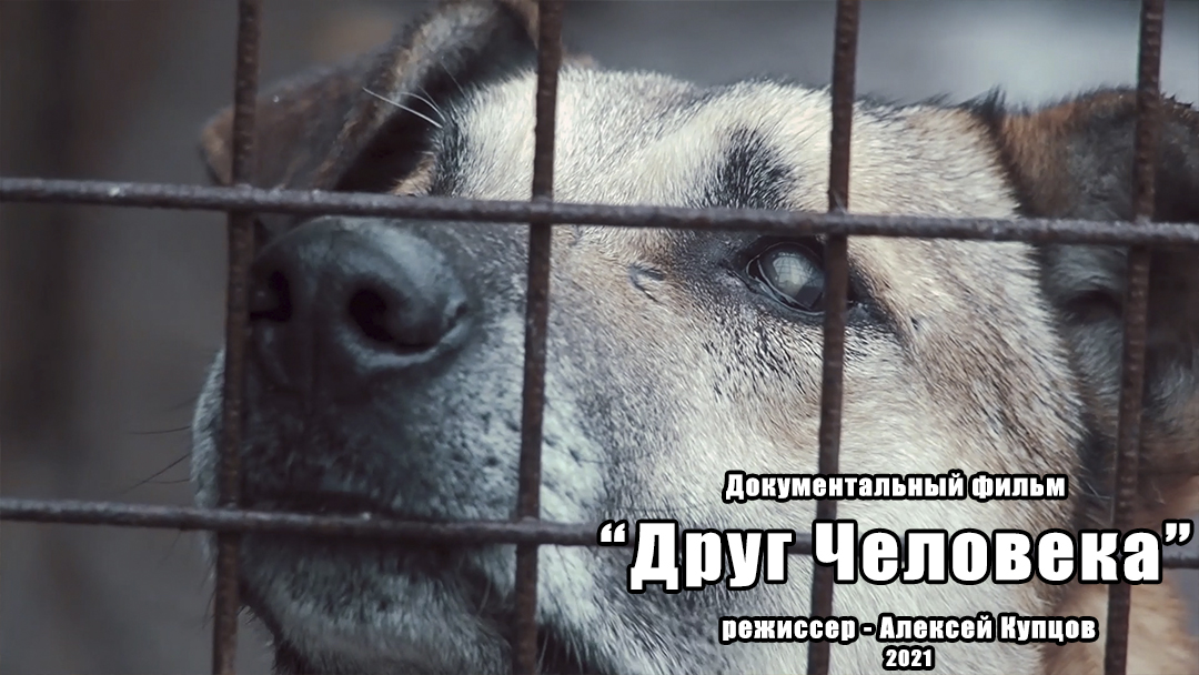 Друг Человека. смотреть онлайн