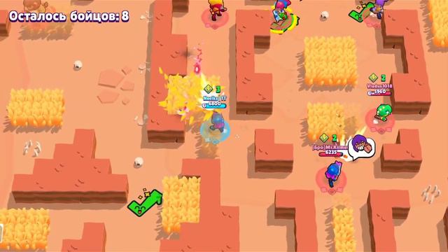 ШЕЛЛИ НА 30 РАНГ В СОЛО ШД. ГАЙД КАК АПНУТЬ ШЕЛЛИ НА 30 РАНГ смотреть онлайн