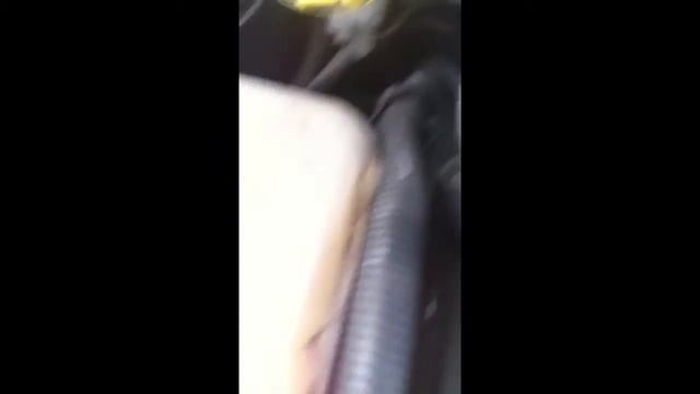 ford fiesta tdci 53 plate, engine diagnosis needed смотреть онлайн
